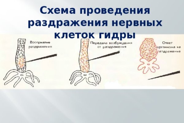 Сайт kraken в tor