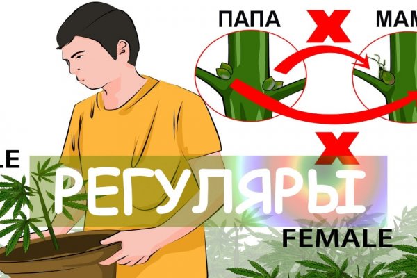 Кракен нар