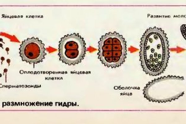 Kraken ссылка зеркало официальный сайт