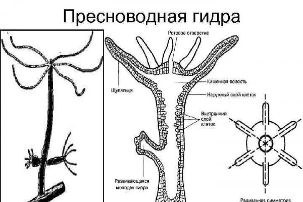 Сайт тор кракен